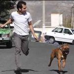 تشویق به نگهداری حیوانات در منزل توطئه ای برای کاهش جمعیت است
